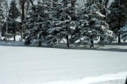 OwenSound 087